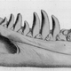 Ilustración para el artículo titulado El día en que el tiranosaurio estuvo a punto de llamarse Dynamosaurus imperiosus